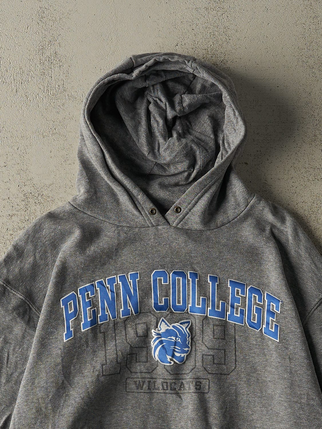 Vintage Y2K Grey Penn College Wildcats Hoodie (XL)