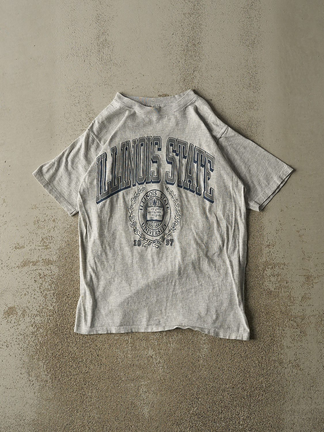 Vintage 90s Heather Grey Illinois State Tee (S/M)