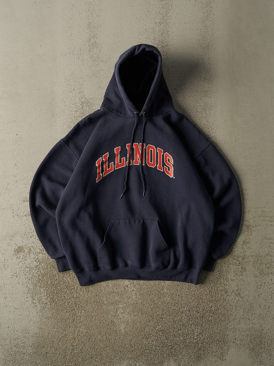 Vintage 90s Navy Blue University of Illinois Hoodie (L)