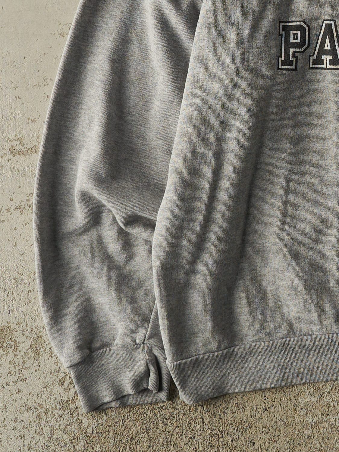 Vintage Y2K Grey Carolina Panthers Lightweight Hoodie (M)