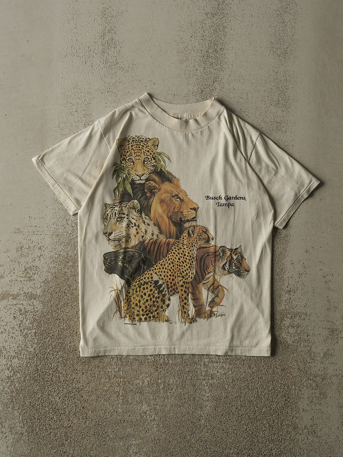 Vintage 89' Beige Busch Gardens Tampa Single Stitch Tee (S)