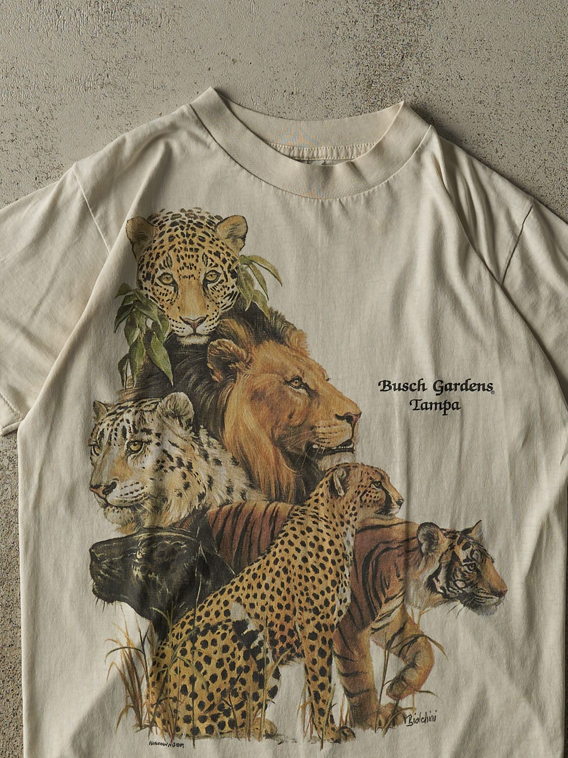 Vintage 89' Beige Busch Gardens Tampa Single Stitch Tee (S)
