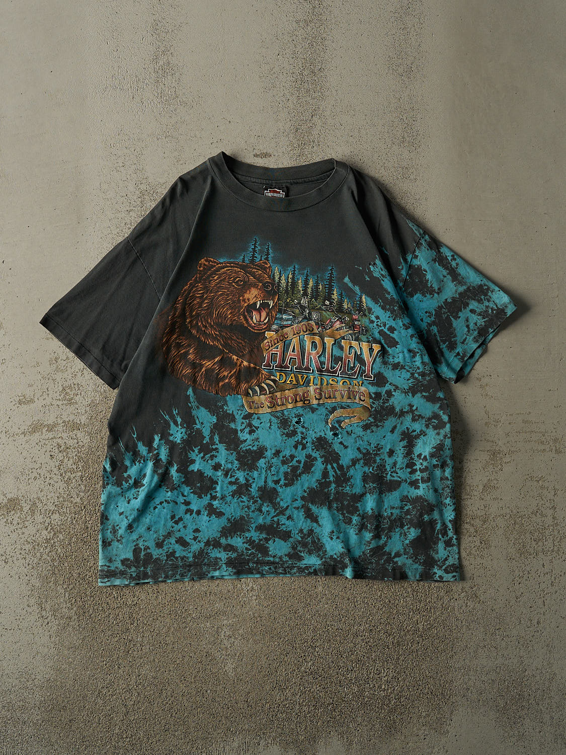 Vintage 90s Faded Black Harley Davidson Virginia Beach Single Stitch Tee (XL/XXL)