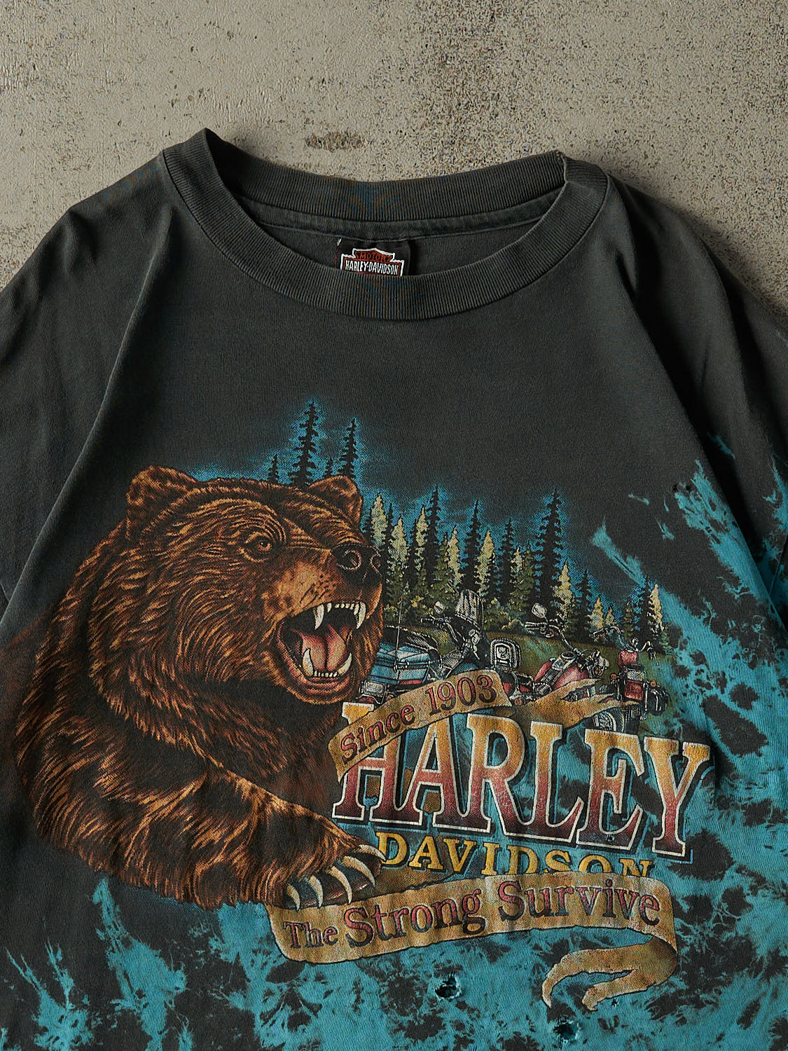 Vintage 90s Faded Black Harley Davidson Virginia Beach Single Stitch Tee (XL/XXL)