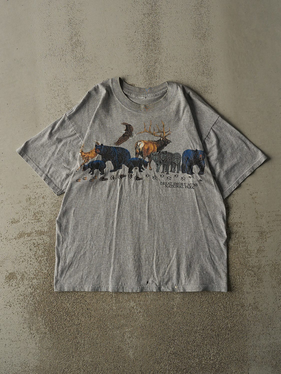 Vintage Y2K Grey Great Smoky Mountains National Park Tee (L)