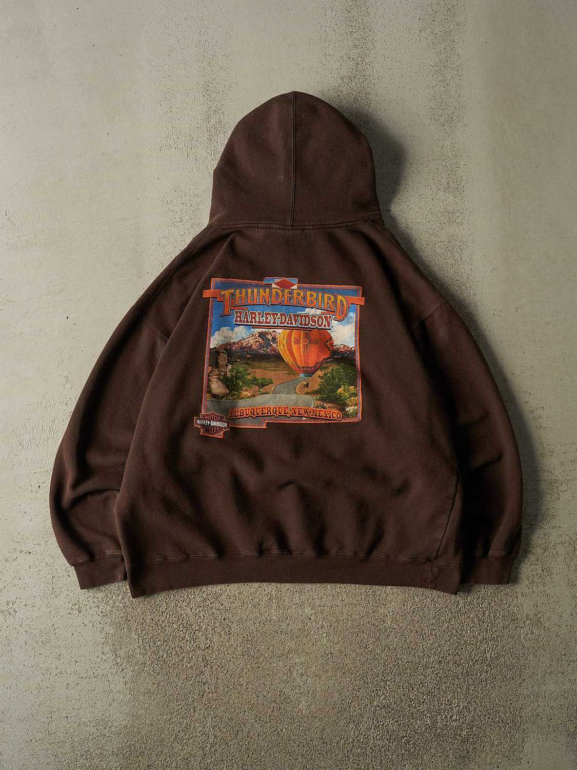 Vintage 07' Brown Harley Davidson Albuquerque NM Hoodie (L/XL)