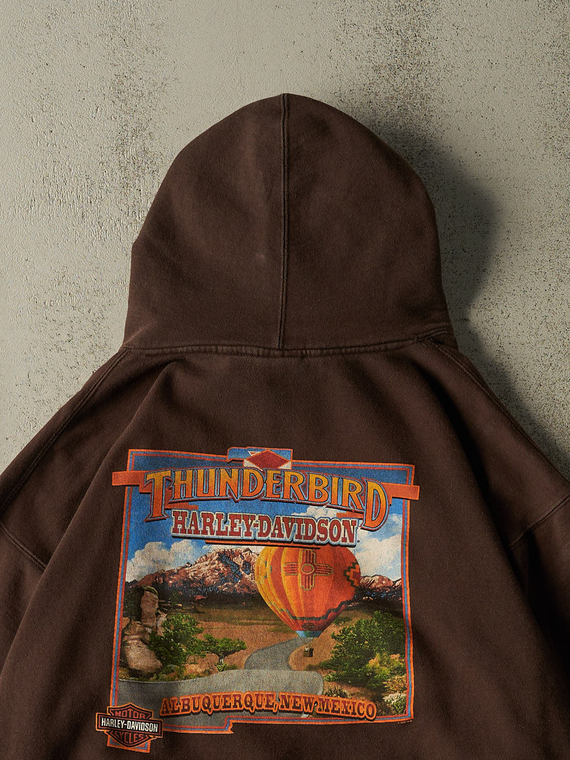 Vintage 07' Brown Harley Davidson Albuquerque NM Hoodie (L/XL)