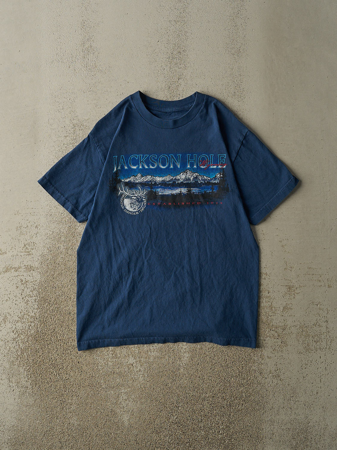 Vintage 90s Blue Jackson Hole Wyoming Tee (M/L)