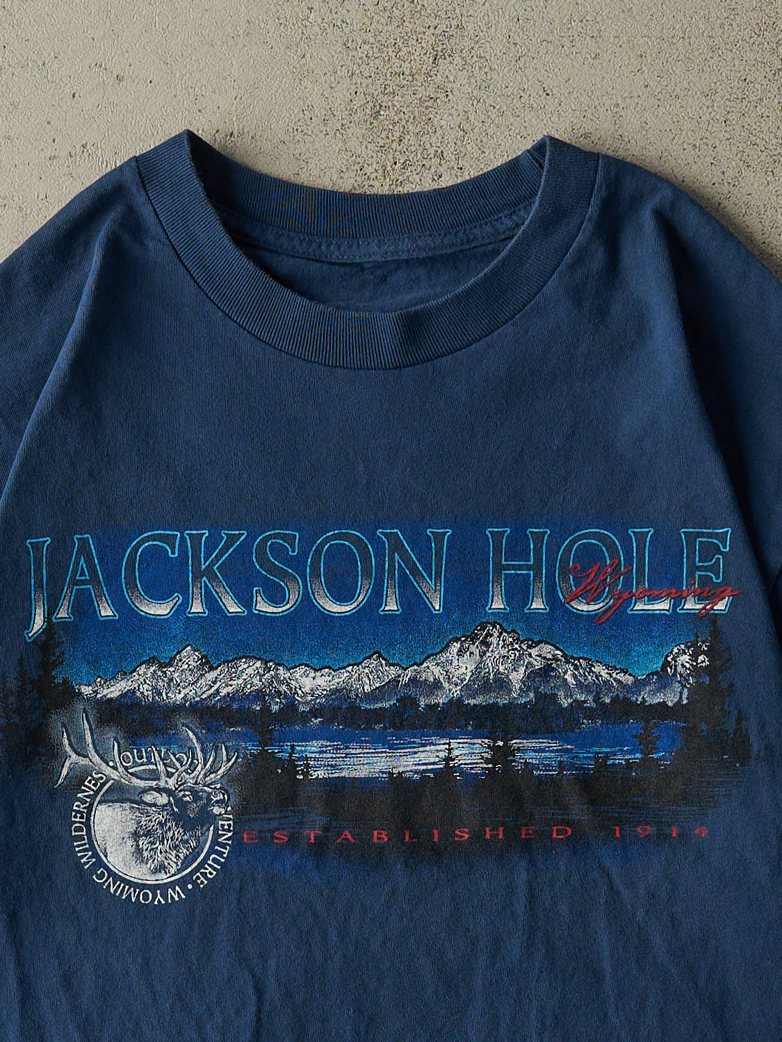 Vintage 90s Blue Jackson Hole Wyoming Tee (M/L)
