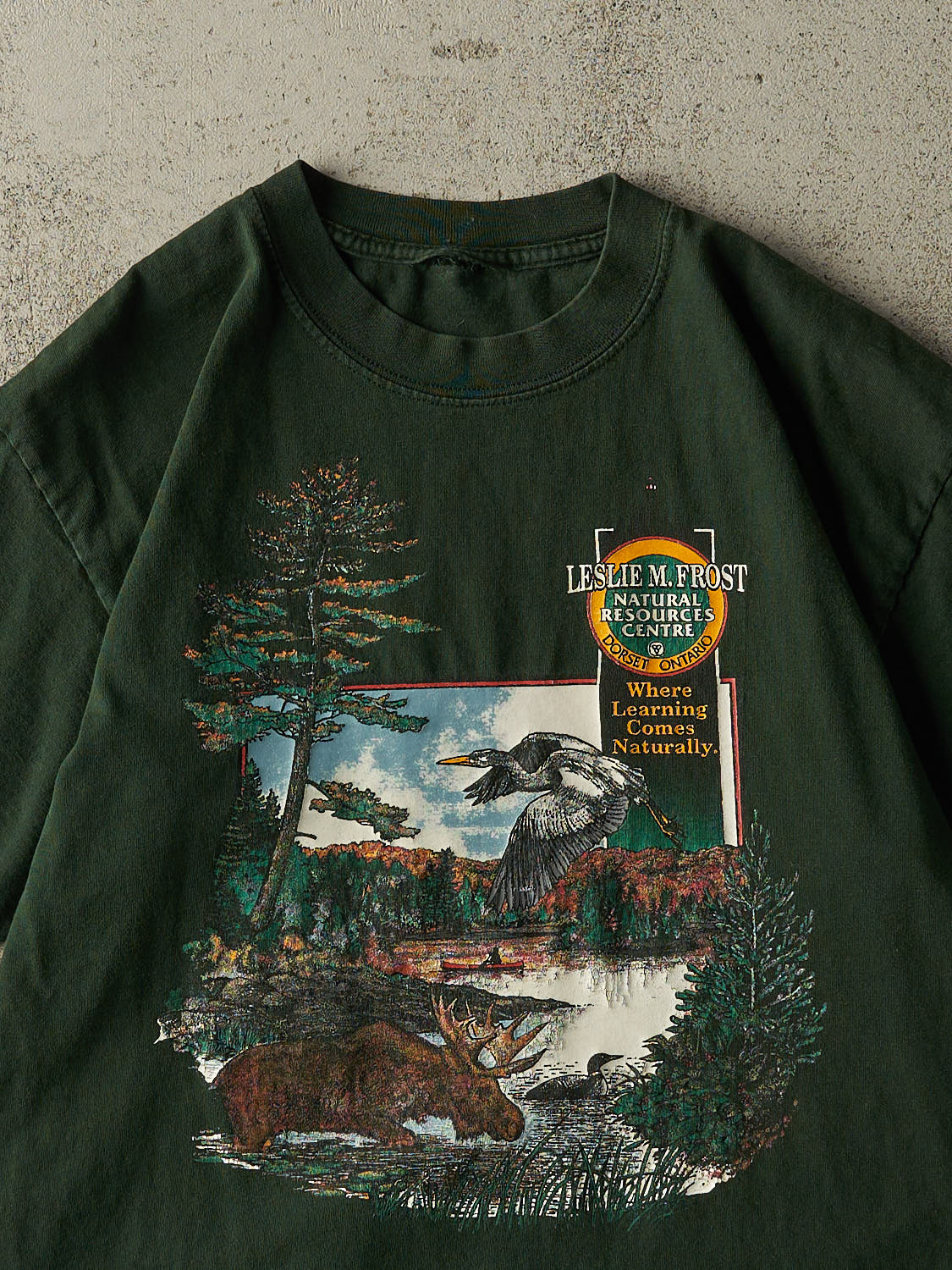Vintage Y2K Green Ontario Nature Tee (M/L)