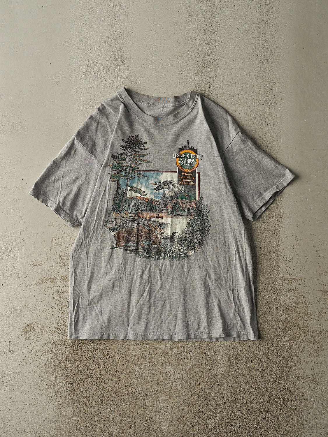 Vintage Y2K Grey Ontario Nature Tee (M/L)