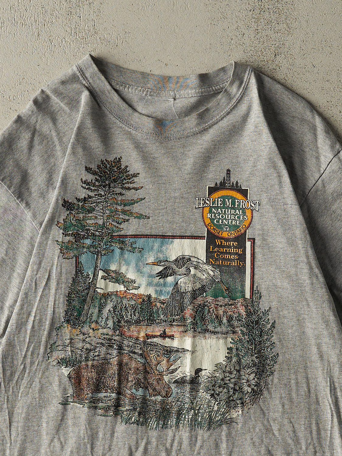 Vintage Y2K Grey Ontario Nature Tee (M/L)