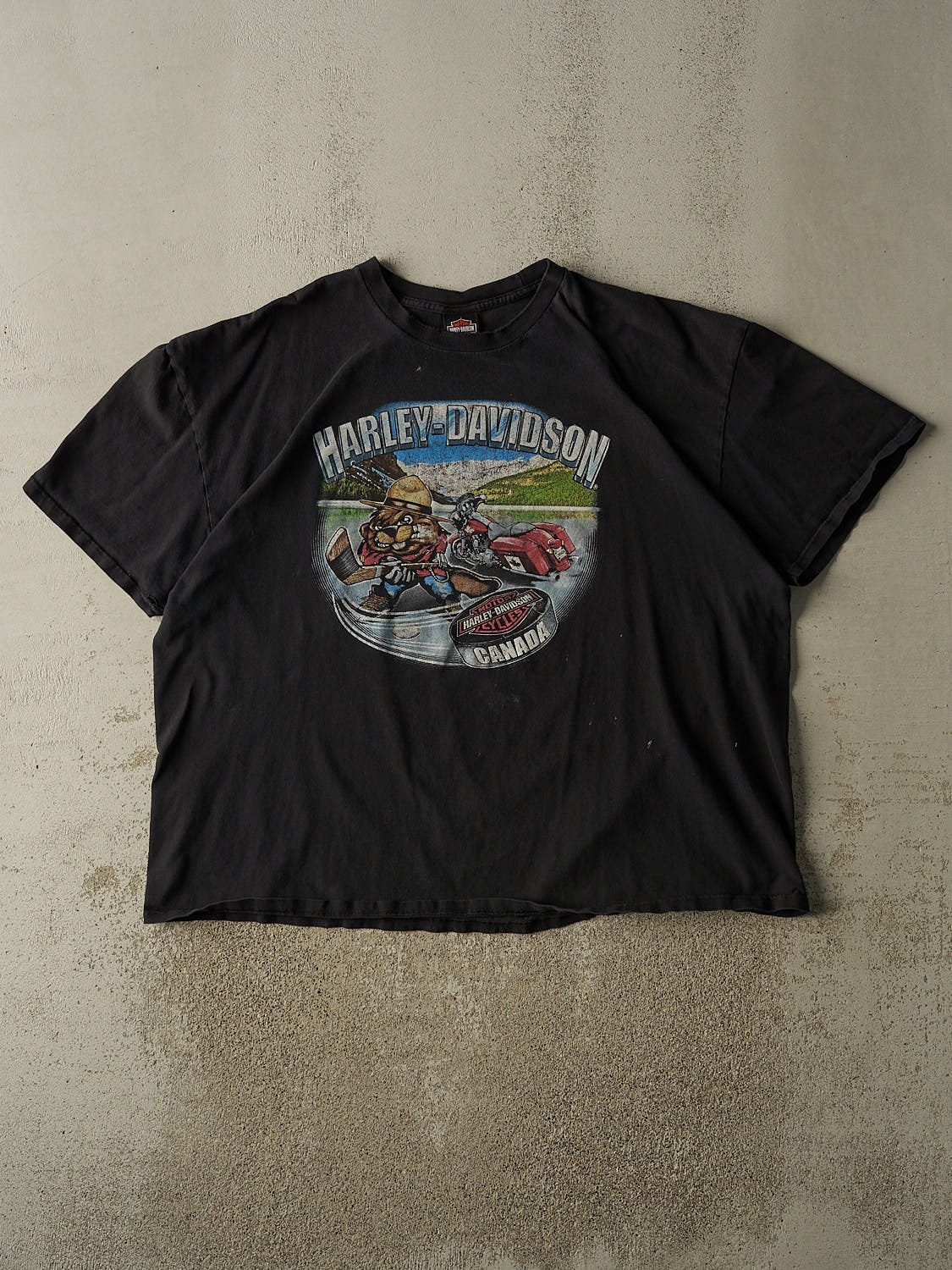 Vintage 11' Black Harley Davidson Regina Saskatchewan Tee (XXL/XXXL)