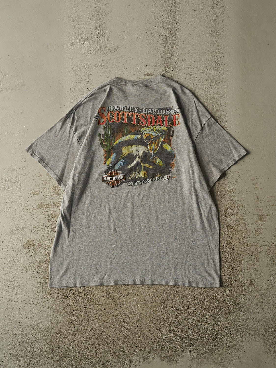 Vintage Y2K Grey Harley Davidson Scottsdale AZ Tee (XL)