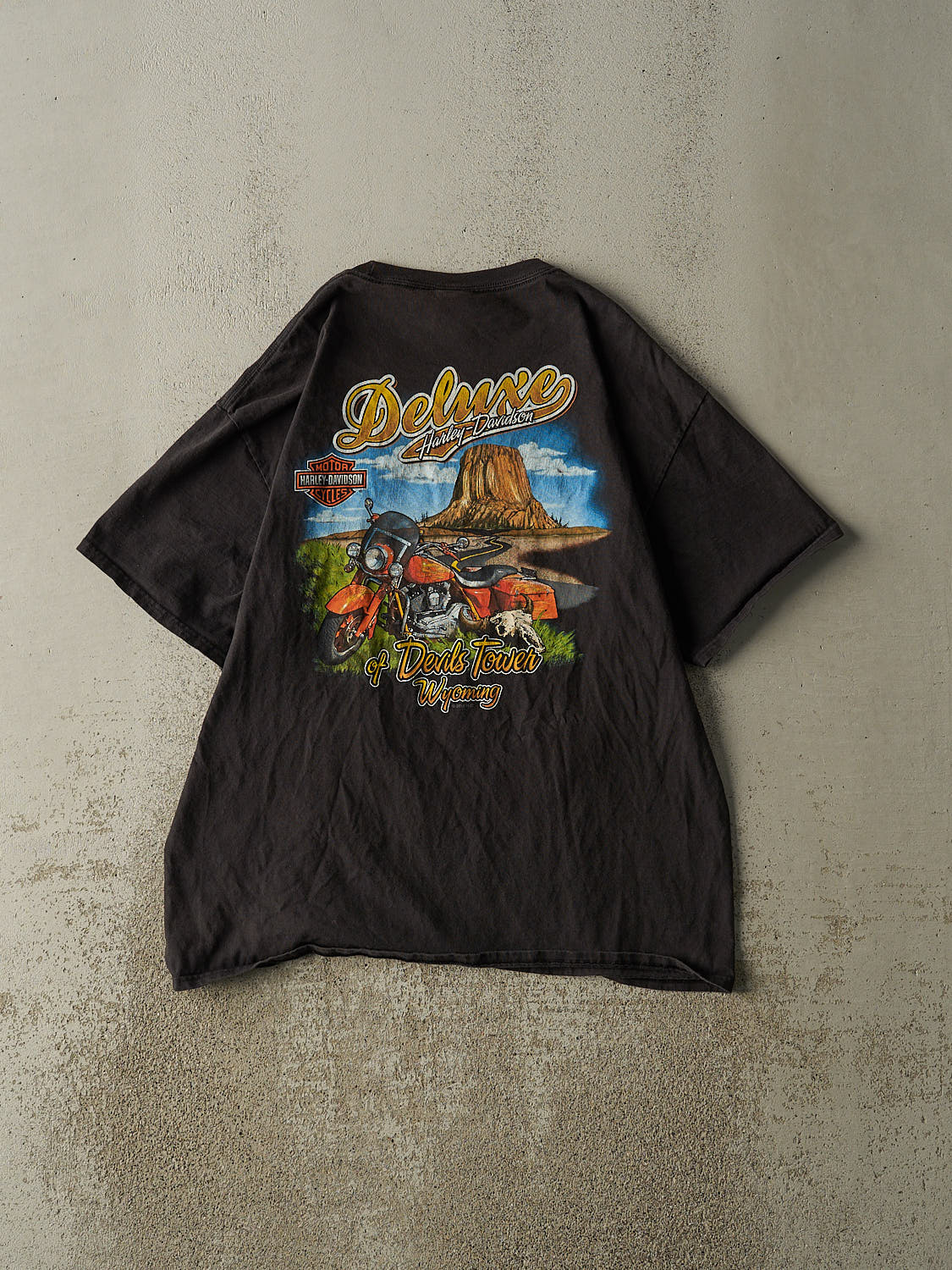 Vintage 18' Faded Black Harley Davidson Wyoming Pocket Tee (L/XL)