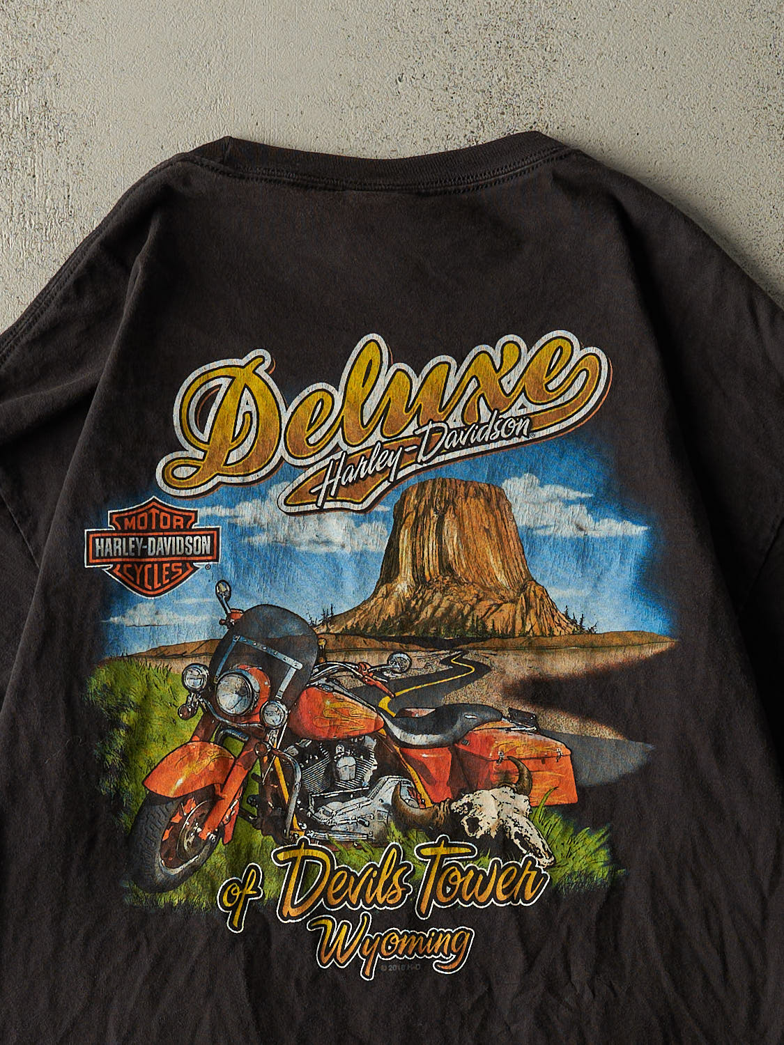 Vintage 18' Faded Black Harley Davidson Wyoming Pocket Tee (L/XL)