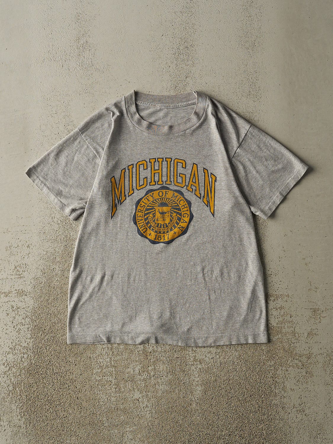 Vintage 80s Grey University of Michigan Single Stitch Tee (S/M)