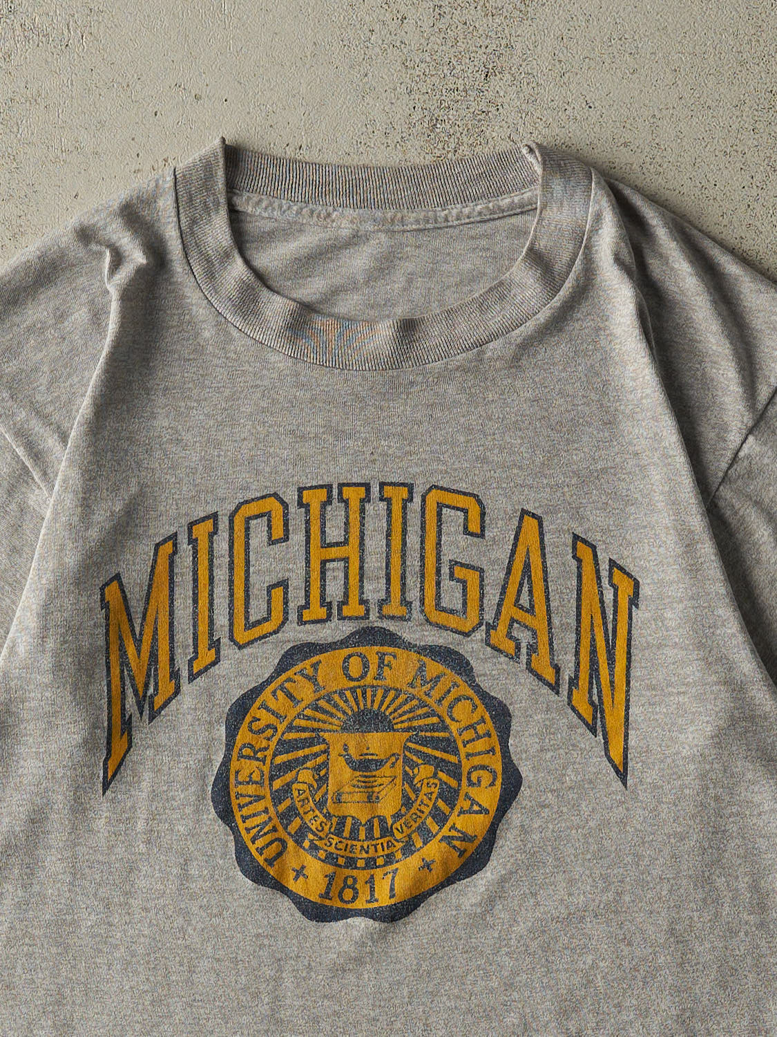 Vintage 80s Grey University of Michigan Single Stitch Tee (S/M)
