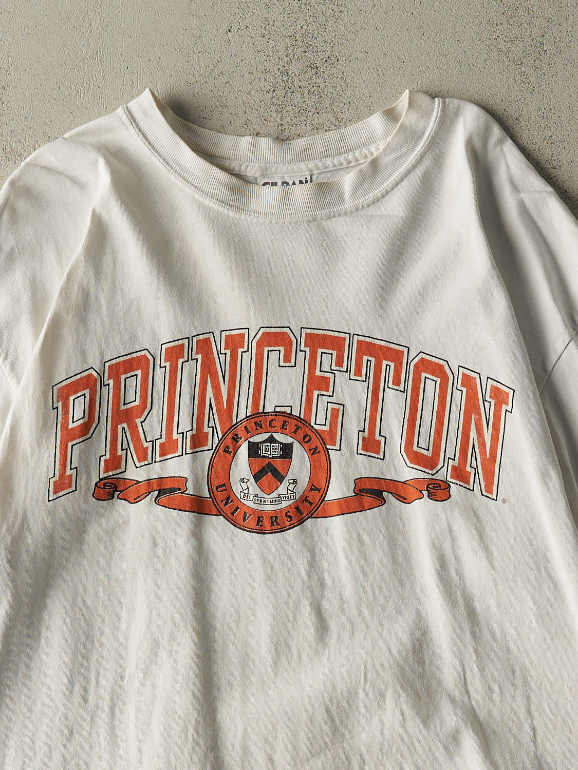 Vintage 90s White Princeton University Tee (L/XL)