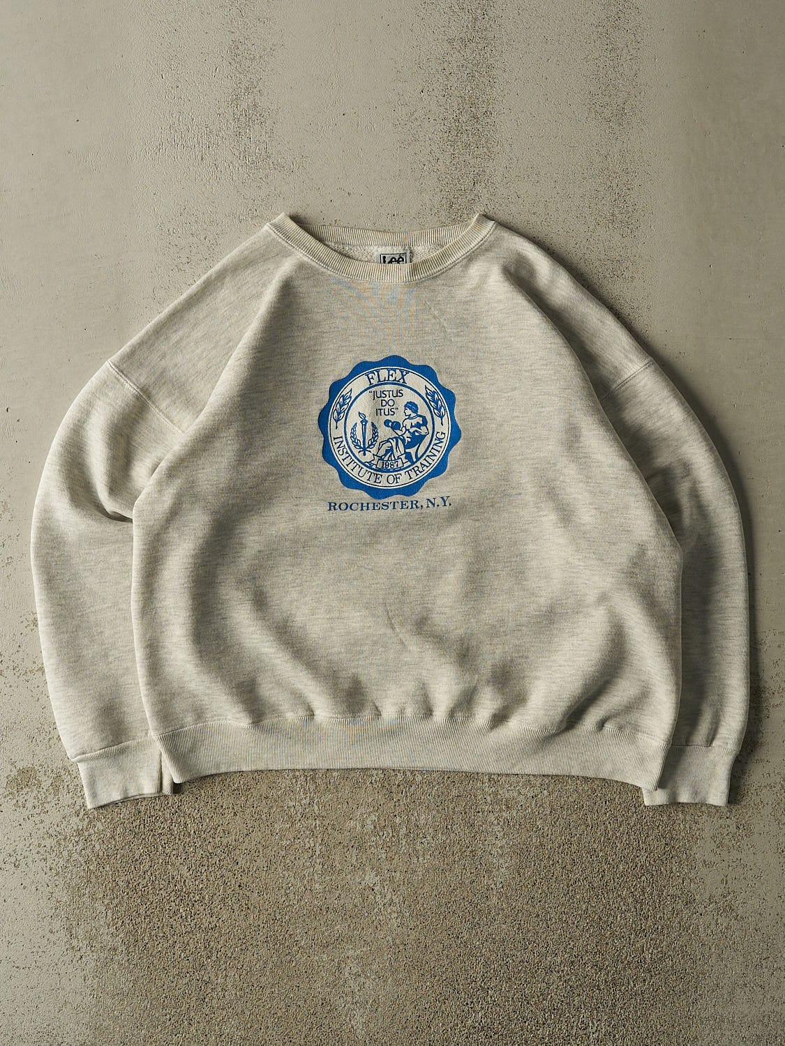 Vintage 90s Grey Rochester New York Institute of Training Boxy Crewneck (L/XL)