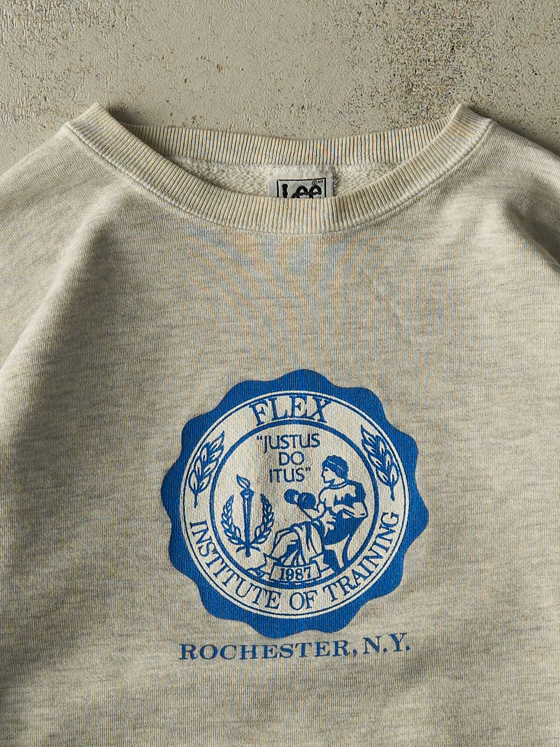 Vintage 90s Grey Rochester New York Institute of Training Boxy Crewneck (L/XL)