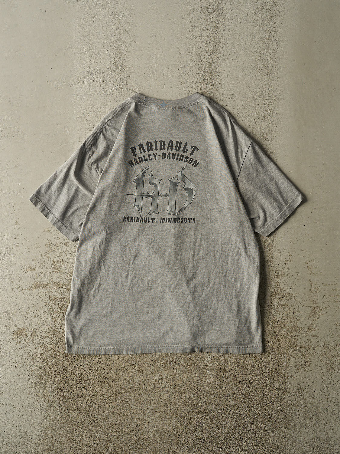 Vintage 04' Grey Harley Davidson Faribault MN Tee (L/XL)