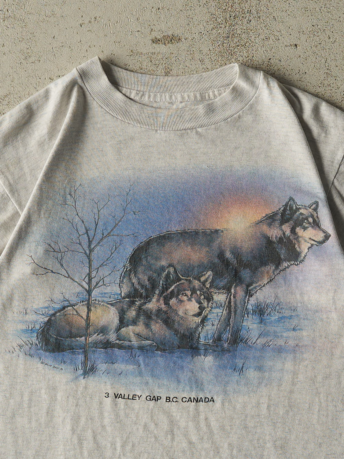 Vintage 90s Heather Grey BC Canada Wolf Single Stitch Tee (XS)