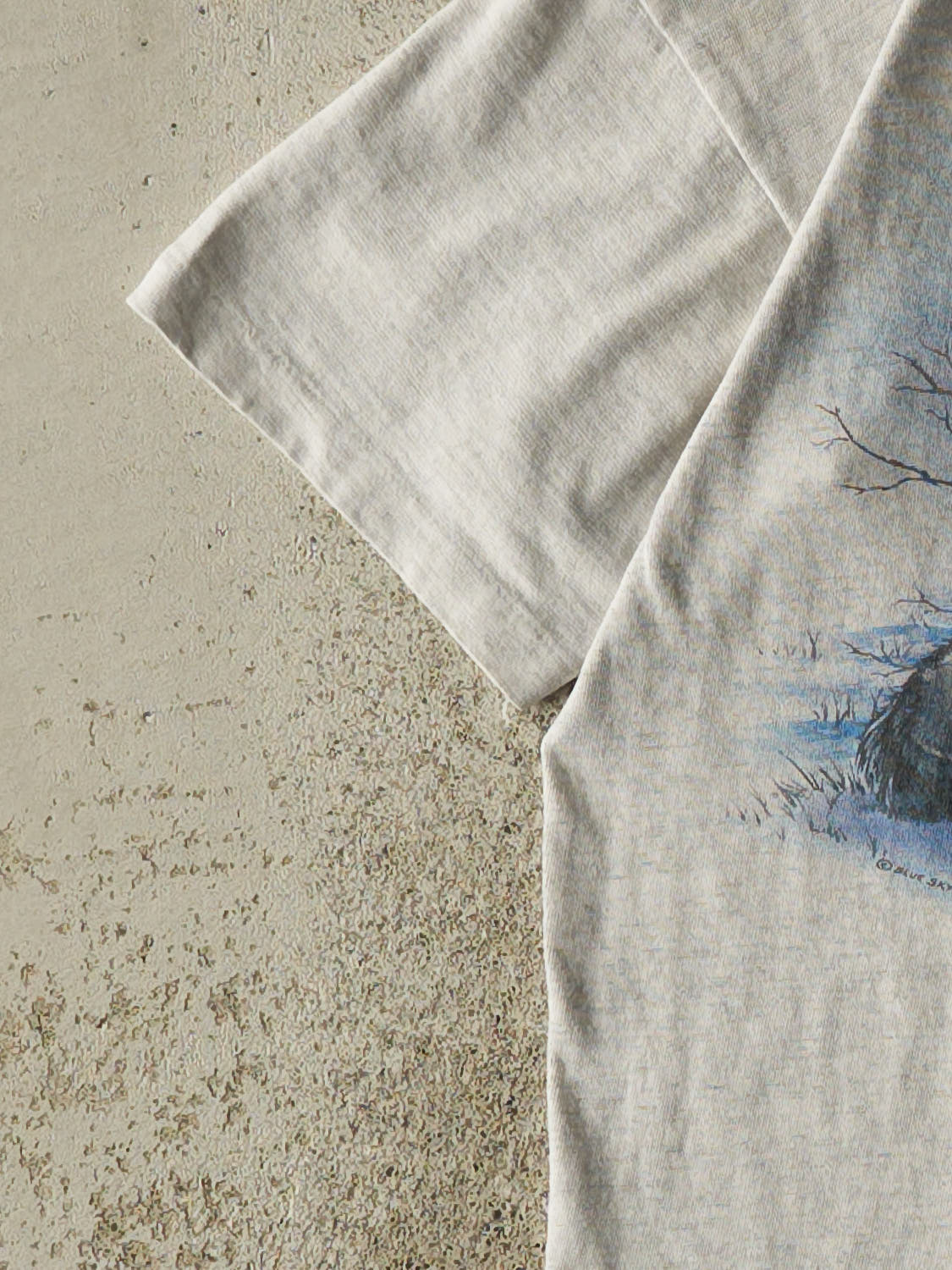 Vintage 90s Heather Grey BC Canada Wolf Single Stitch Tee (XS)