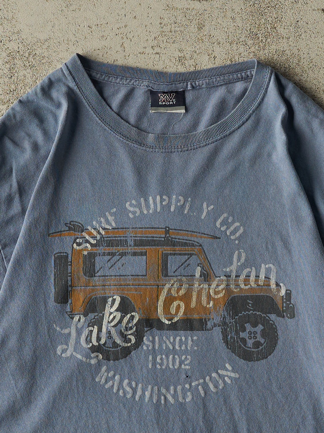 Vintage Y2K Blue Lake Chetan Washington Tee (L)
