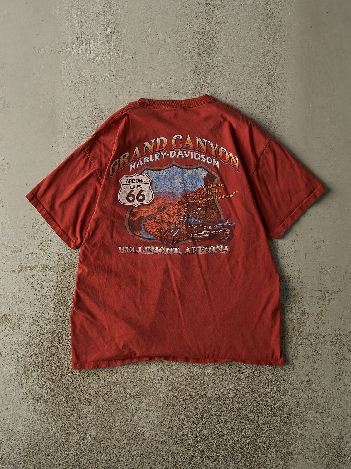 Vintage 12' Burnt Orange Harley Davidson Bellemont AZ Tee (L)