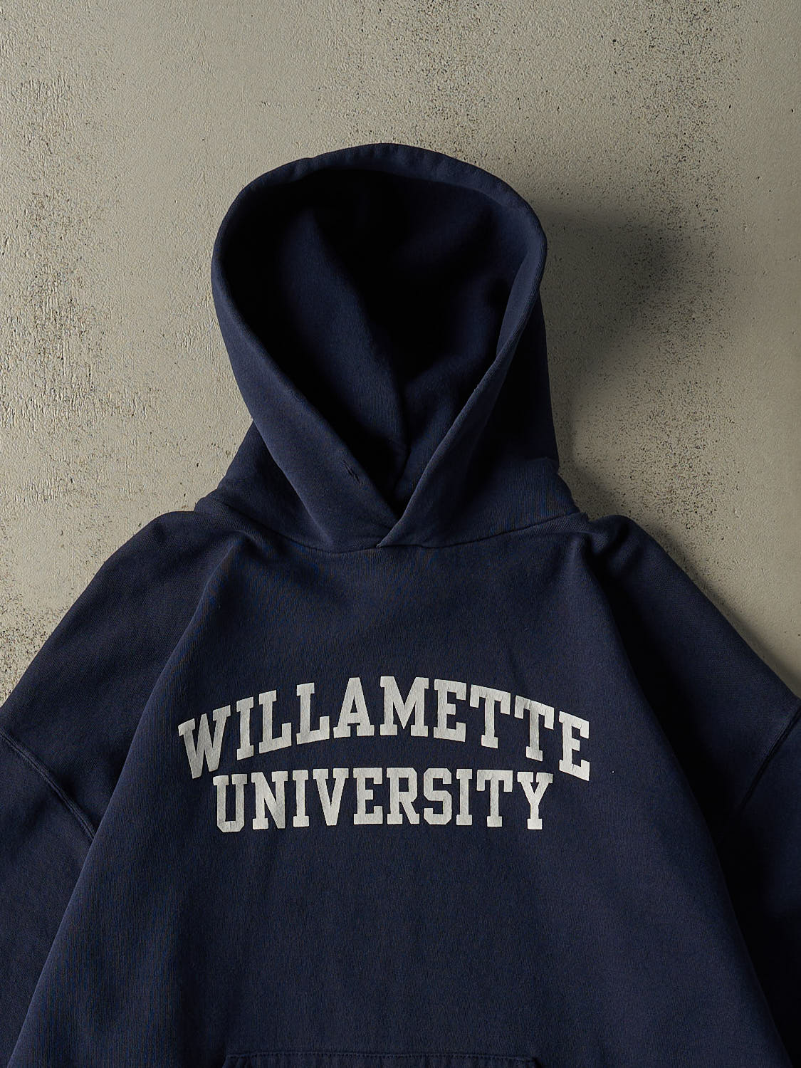 Vintage Y2K Navy Blue Russell Athletic Willamette University Hoodie (L/XL)