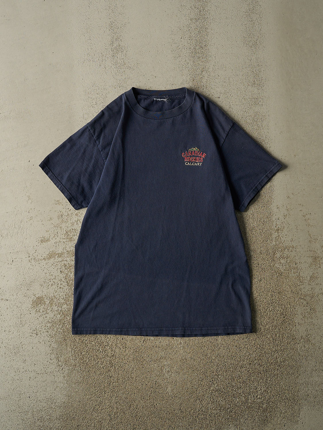 Vintage 90s Navy Blue Calgary Canadian Rockies Tee (L/XL)