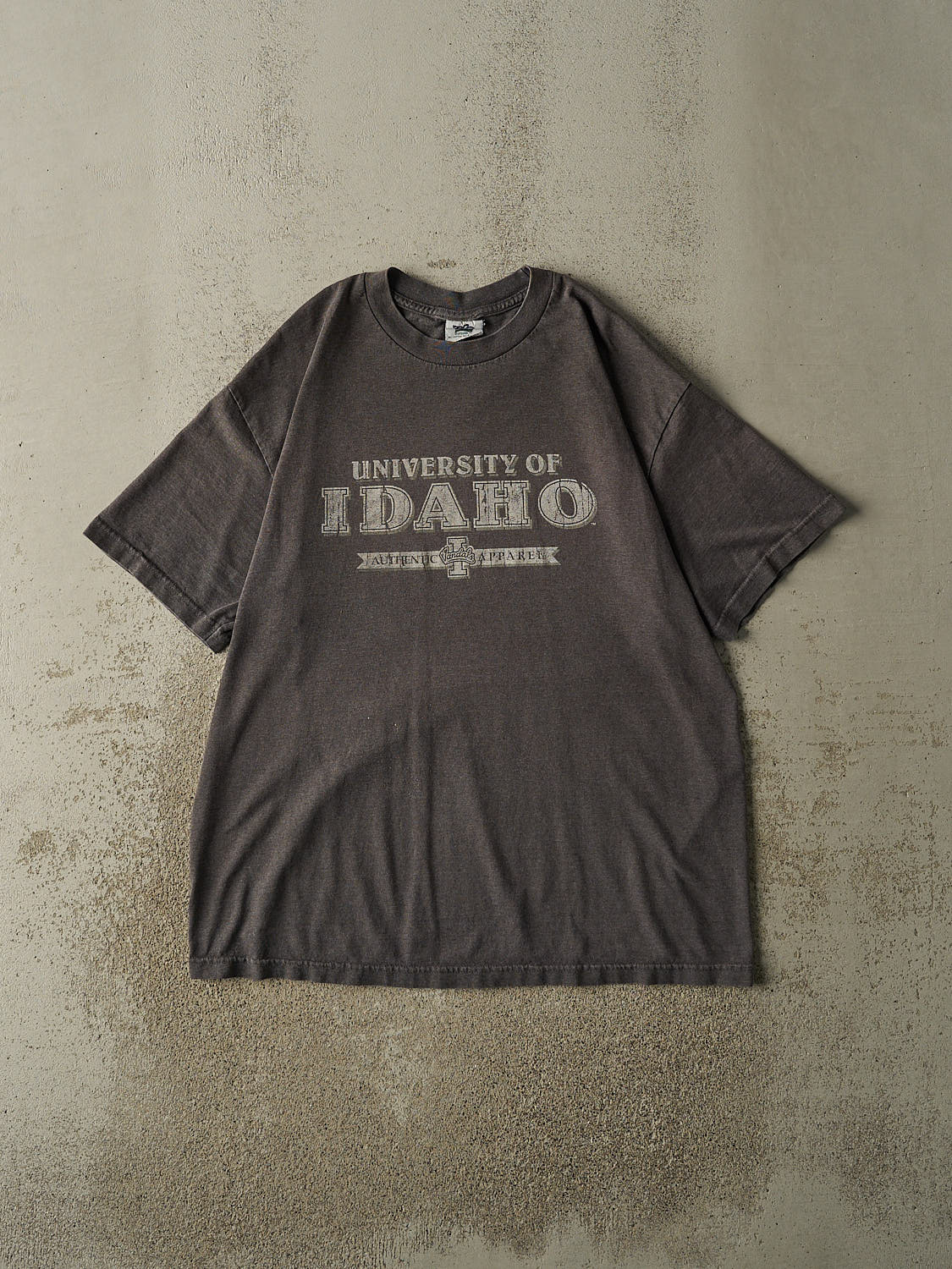 Vintage 90s Charcoal Grey University of Idaho Tee (XL)