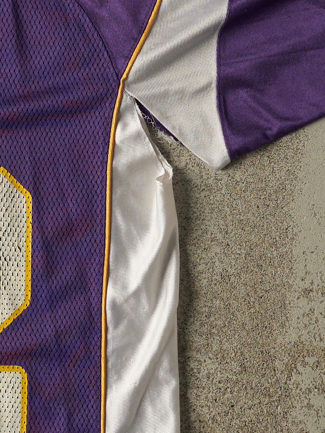 Vintage Y2K Purple Minnesota Vikings #42 Darren Sharper Jersey (M)