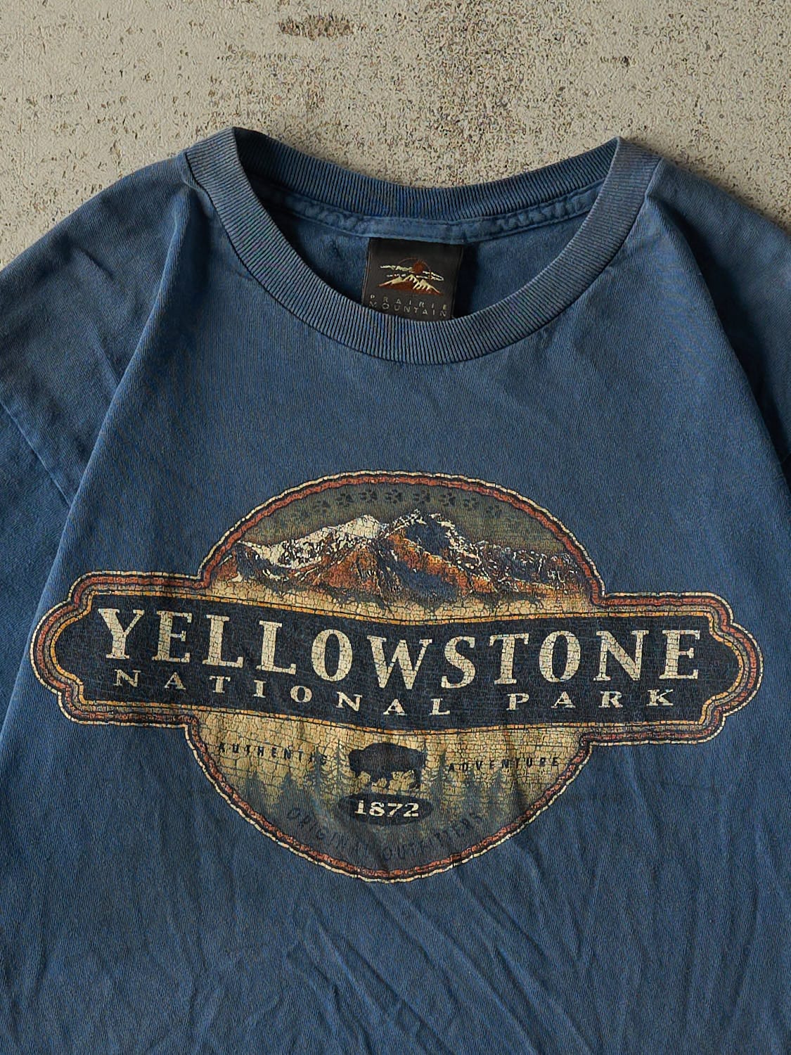Vintage Y2K Blue Yellowstone National Park Tee (S/M)
