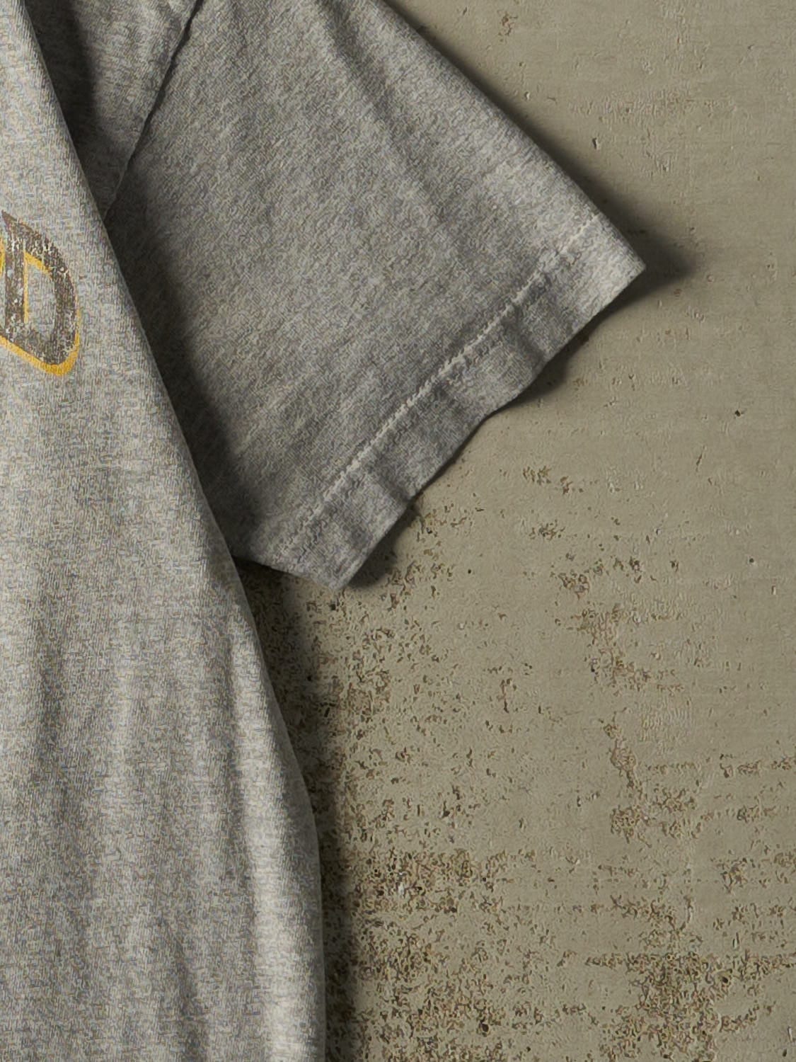 Vintage Y2K Grey Lynyrd Skynyrd Tee (S/M)