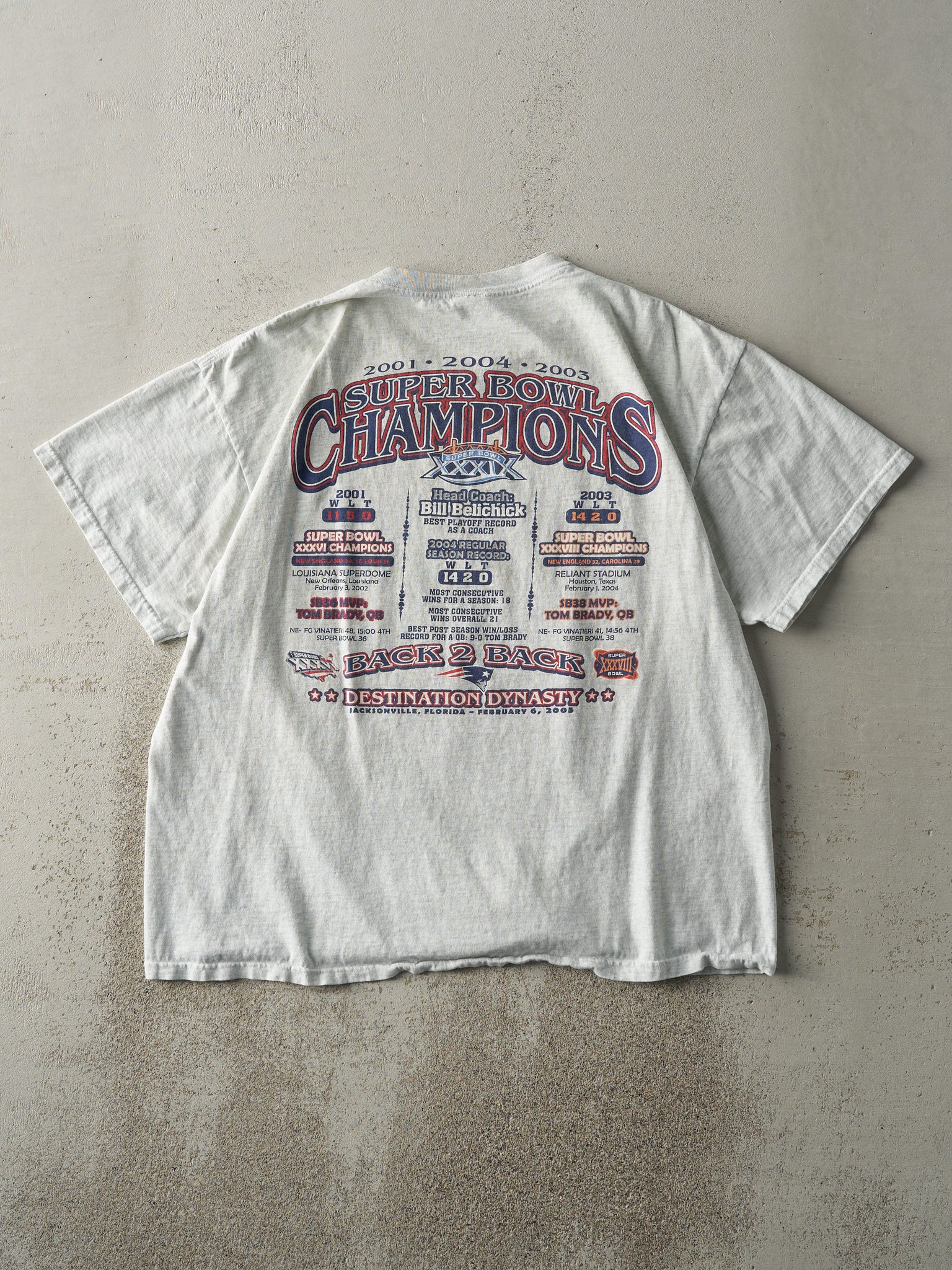 Vintage 05' Heather Grey New England Patriots Champions Tee (L)