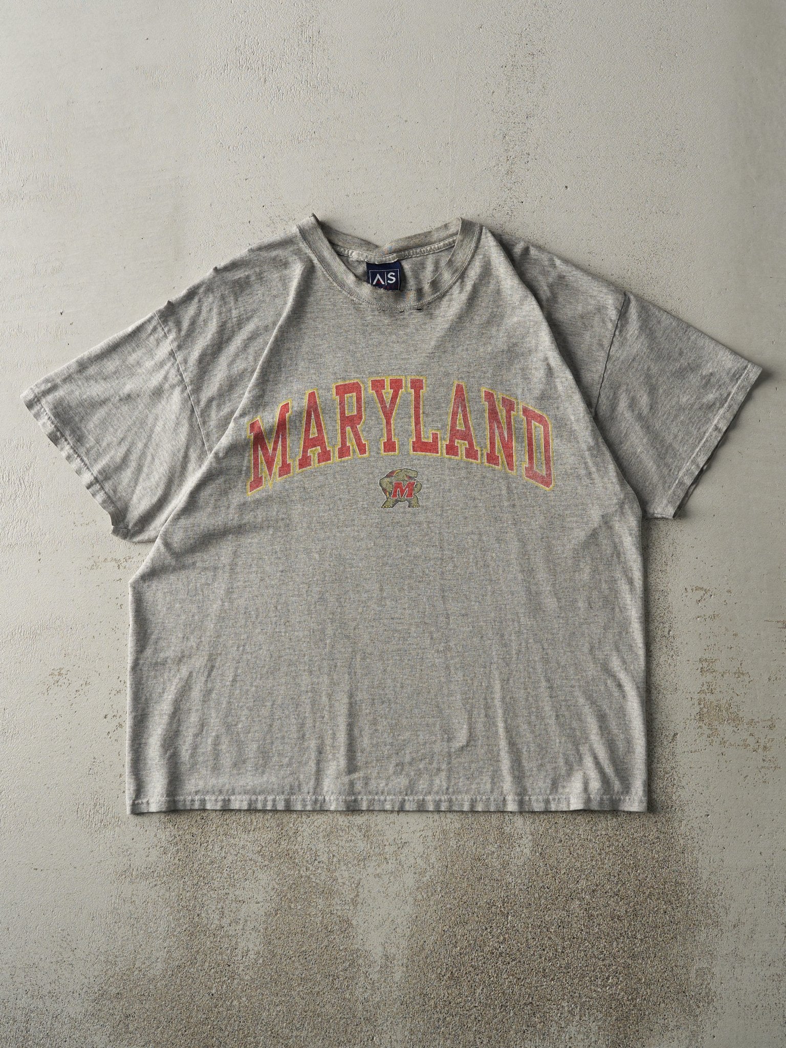 Vintage Y2K Grey University of Maryland Tee (L)