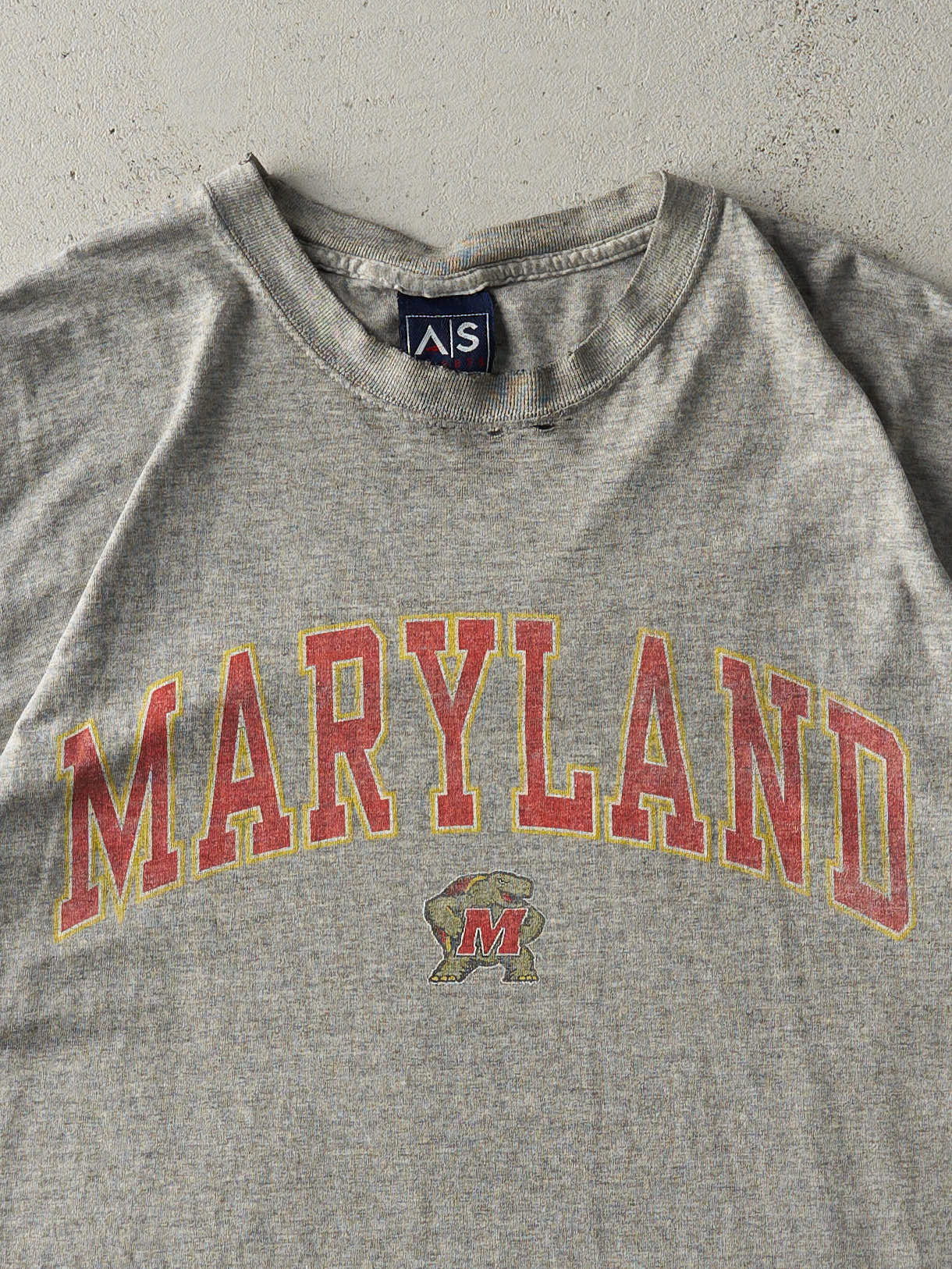 Vintage Y2K Grey University of Maryland Tee (L)