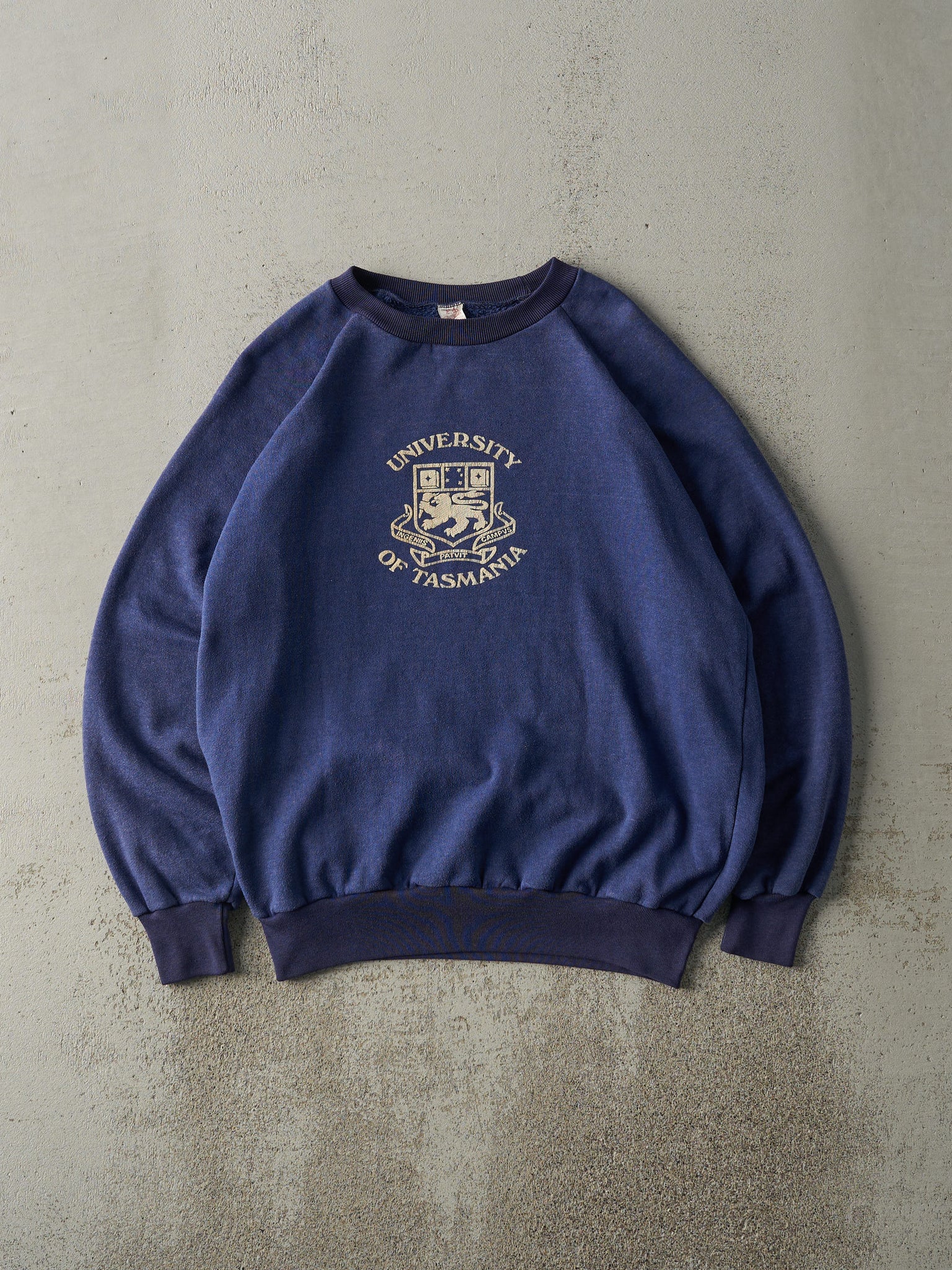 Vintage 80s Blue University of Tasmania Crewneck (L)