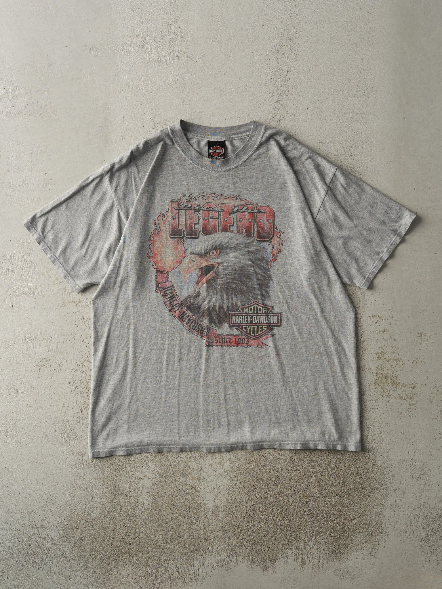 Vintage 03' Grey Moncton New Brunswick Harley Davidson Tee (L/XL)