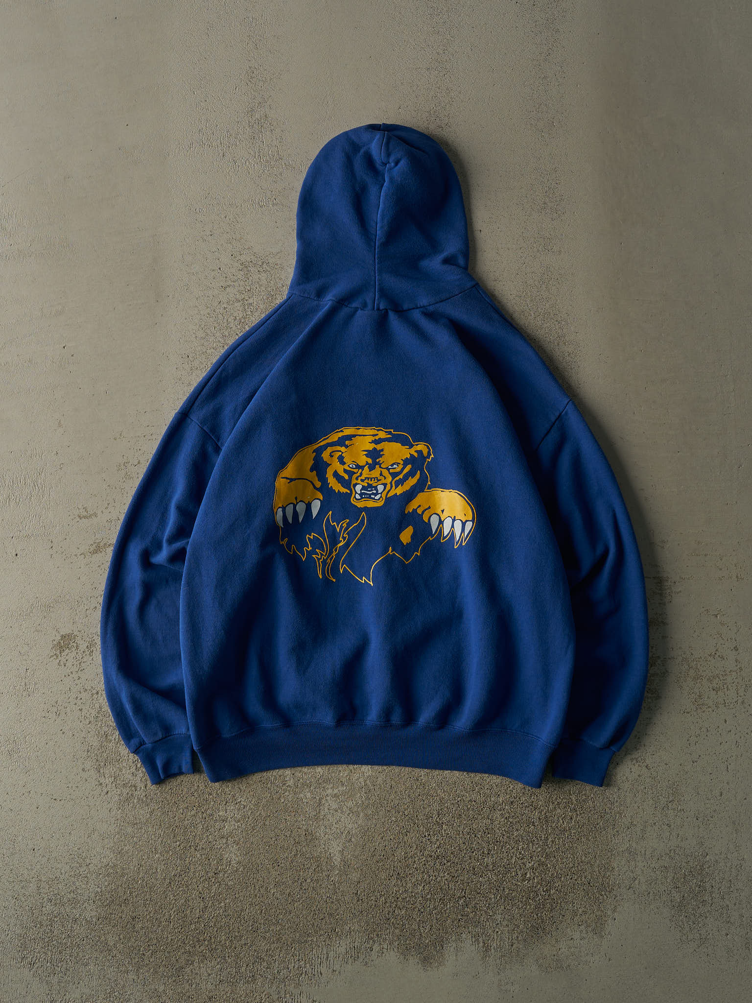 Vintage Y2K Blue Bartlett Golden Bears Hoodie (XL/XXL)