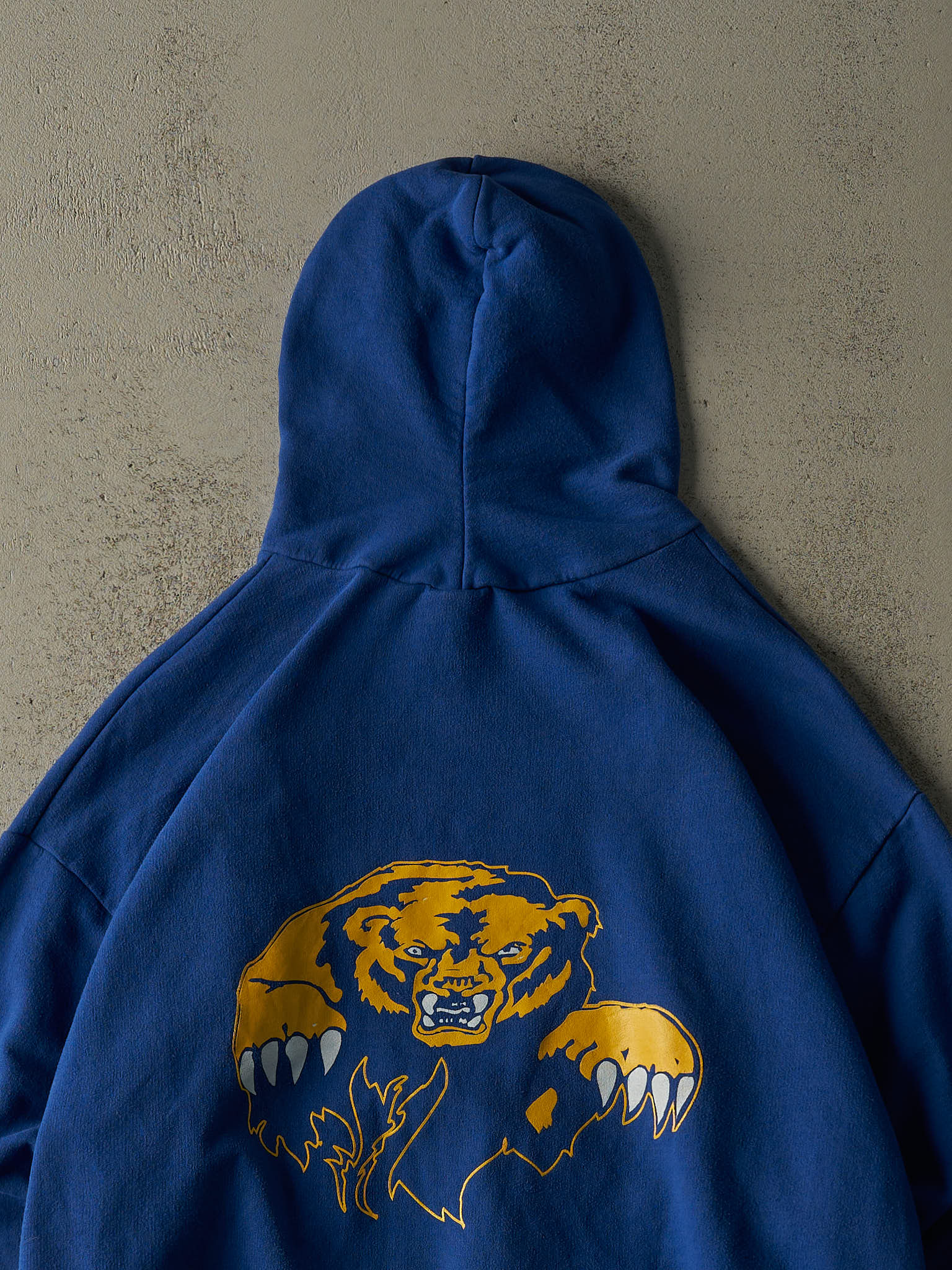 Vintage Y2K Blue Bartlett Golden Bears Hoodie (XL/XXL)