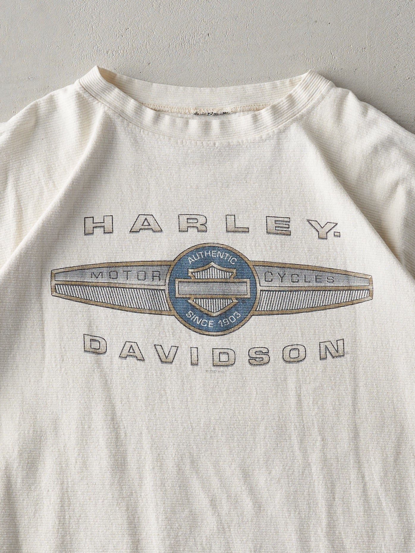 Vintage 97' Beige Reading Pennsylvania Harley Davidson Textured Tee (L)