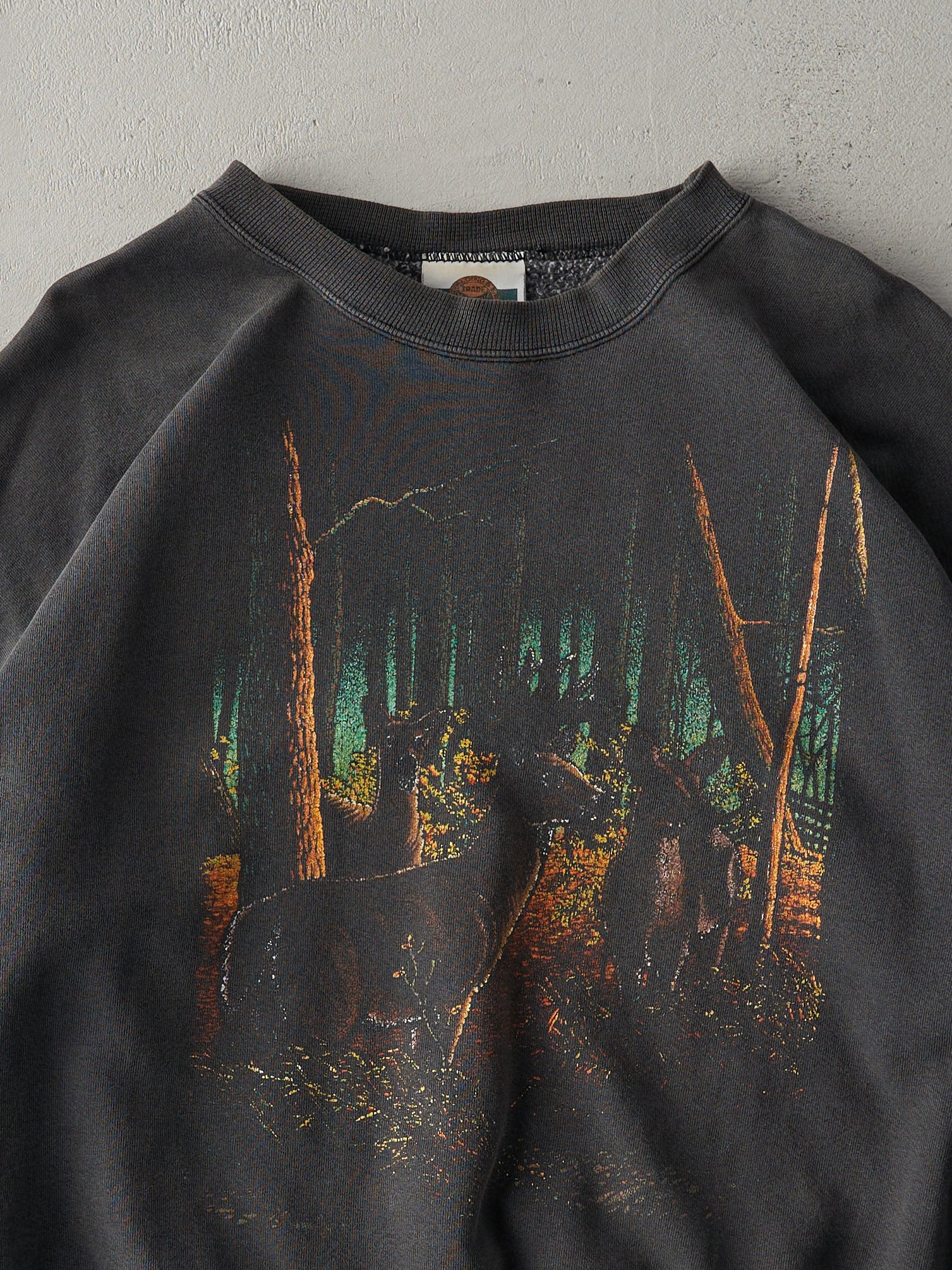 Vintage 90s Faded Black Nature Crewneck (XL)