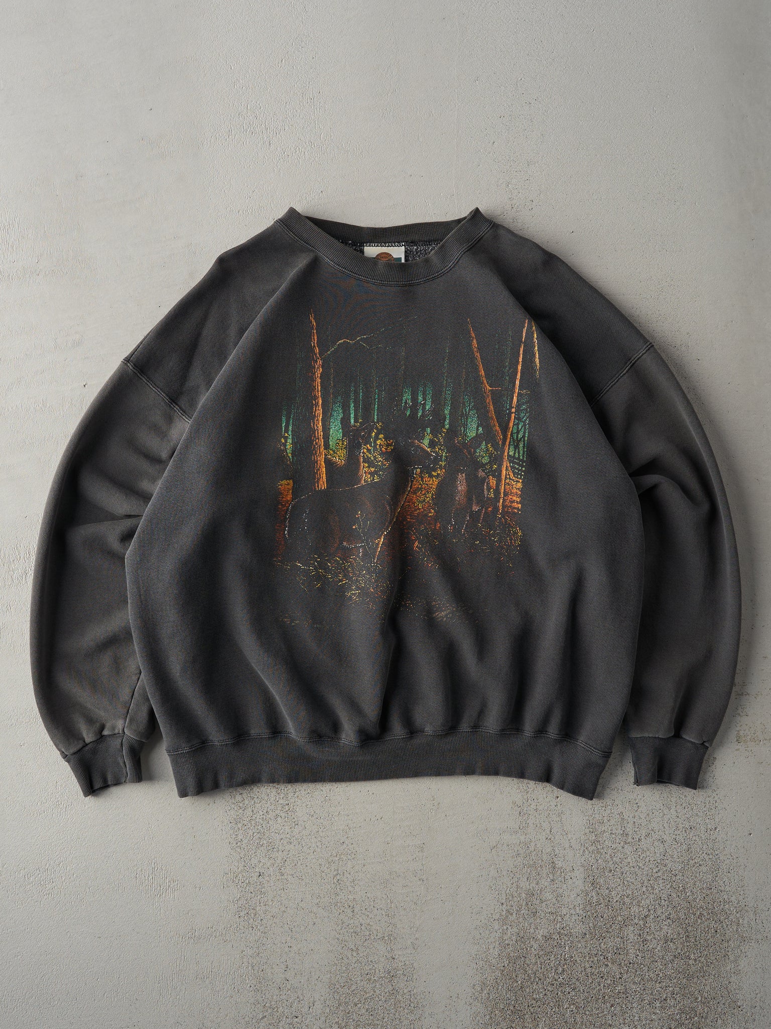 Vintage 90s Faded Black Nature Crewneck (XL)