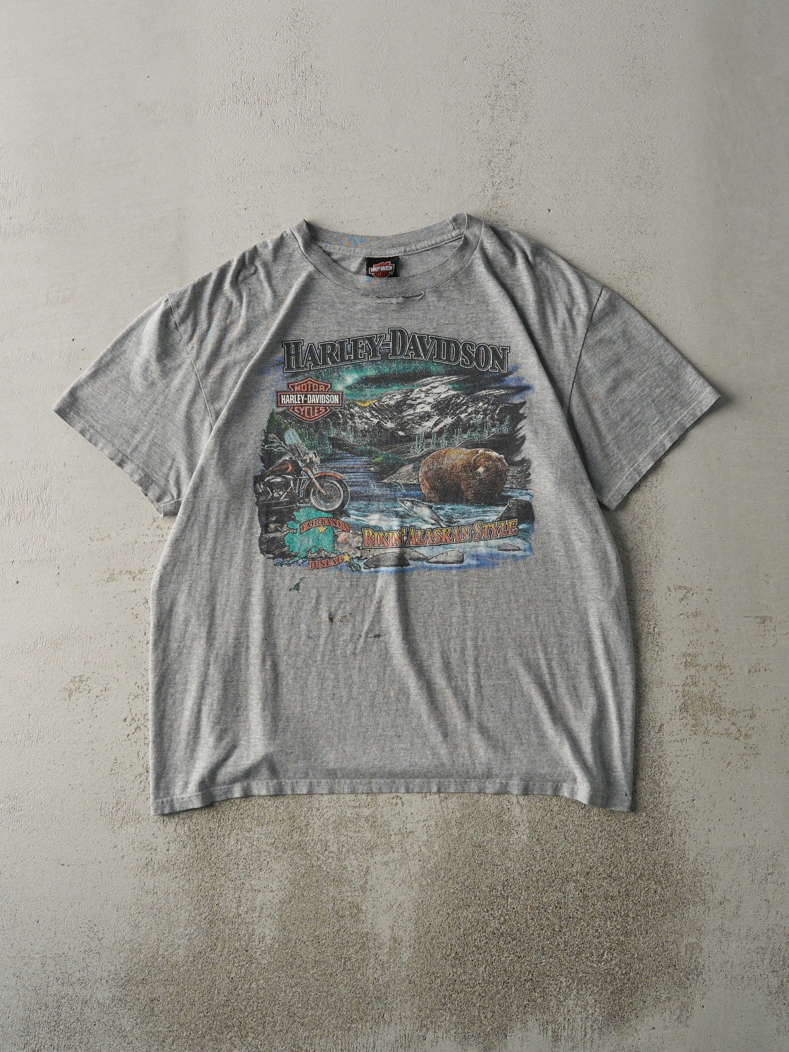 Vintage Y2K Grey Juneau Alaska Harley Davidson Tee (L)