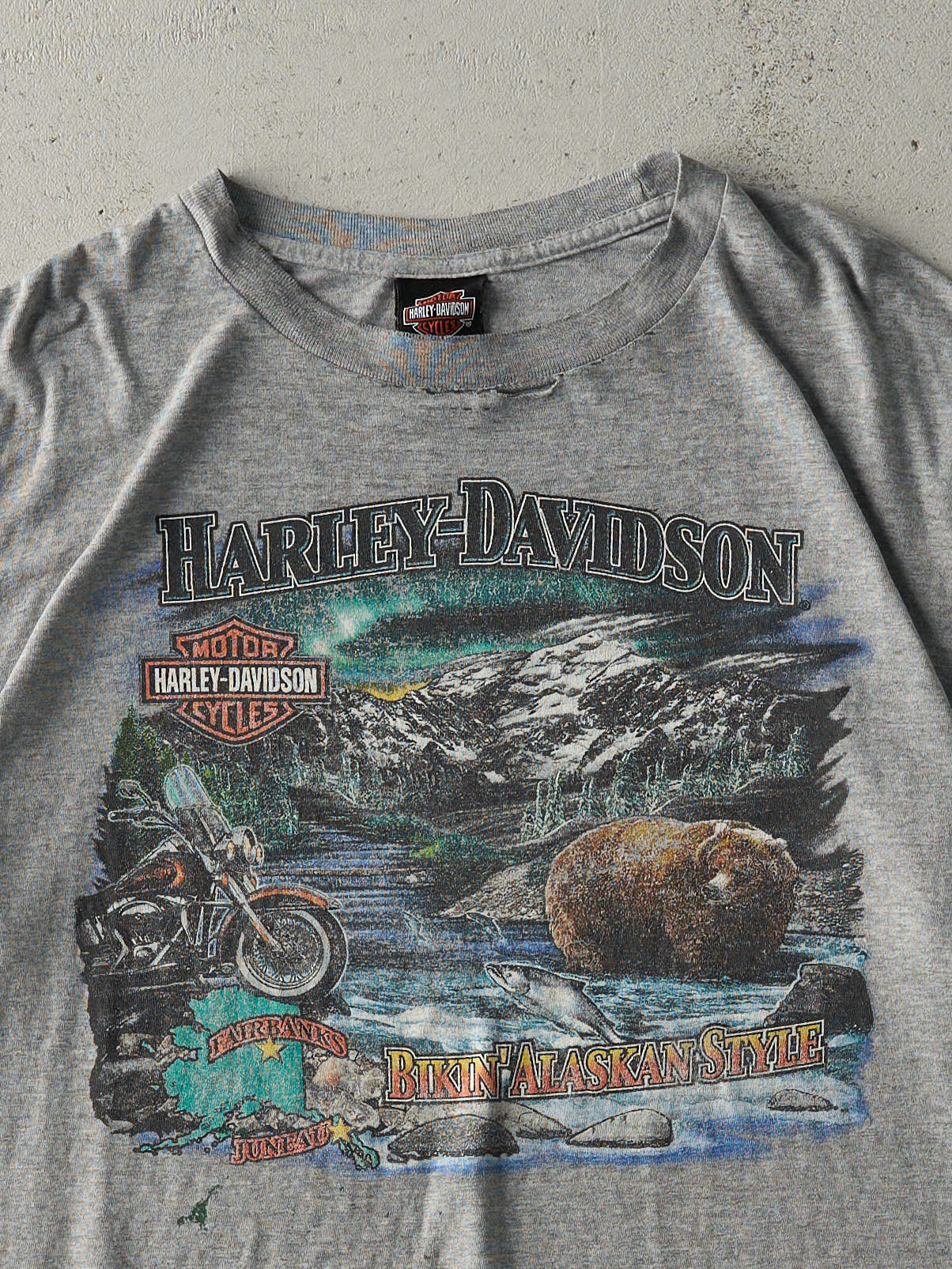 Vintage Y2K Grey Juneau Alaska Harley Davidson Tee (L)