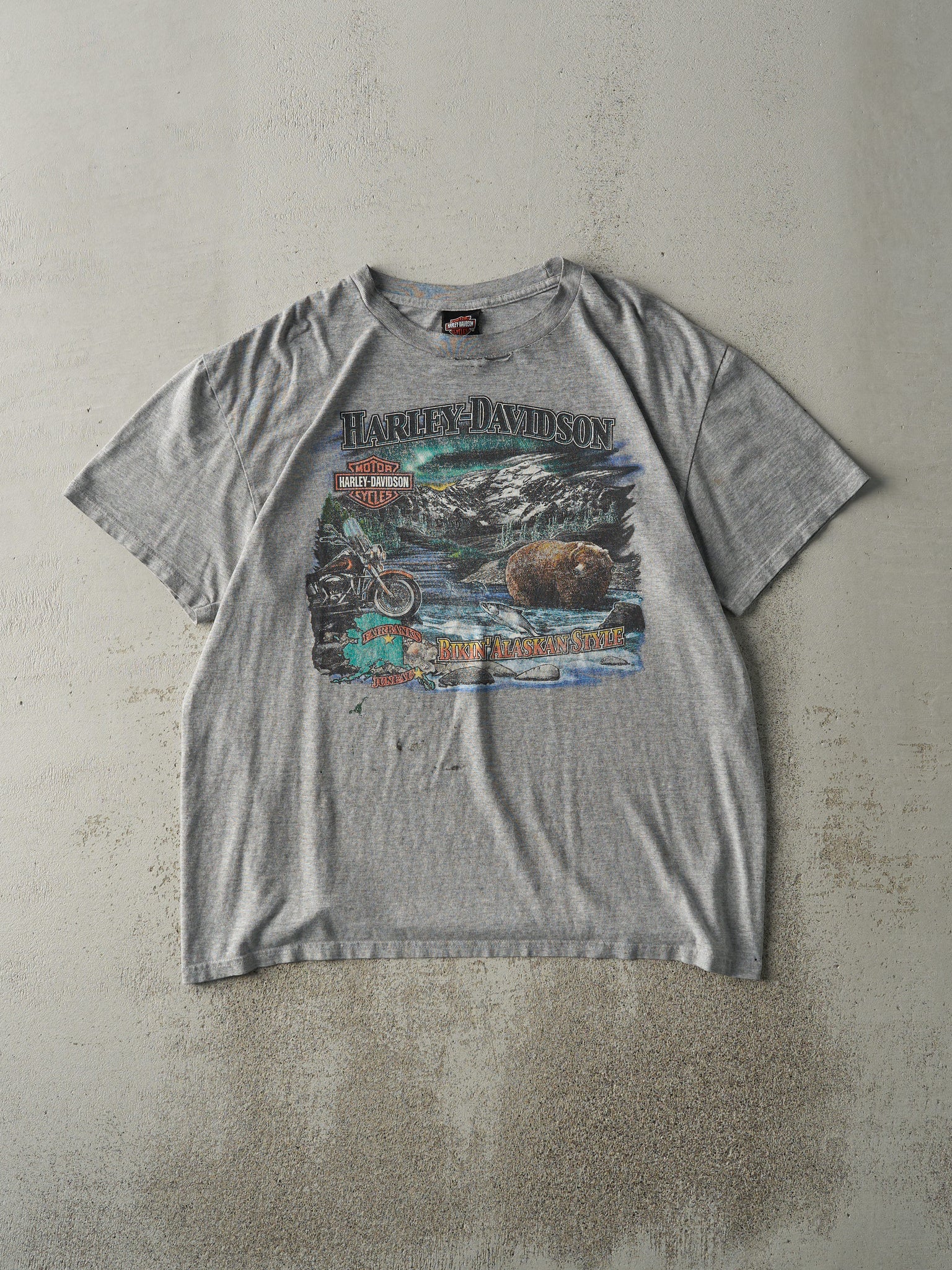 Vintage Y2K Grey Juneau Alaska Harley Davidson Tee (L)