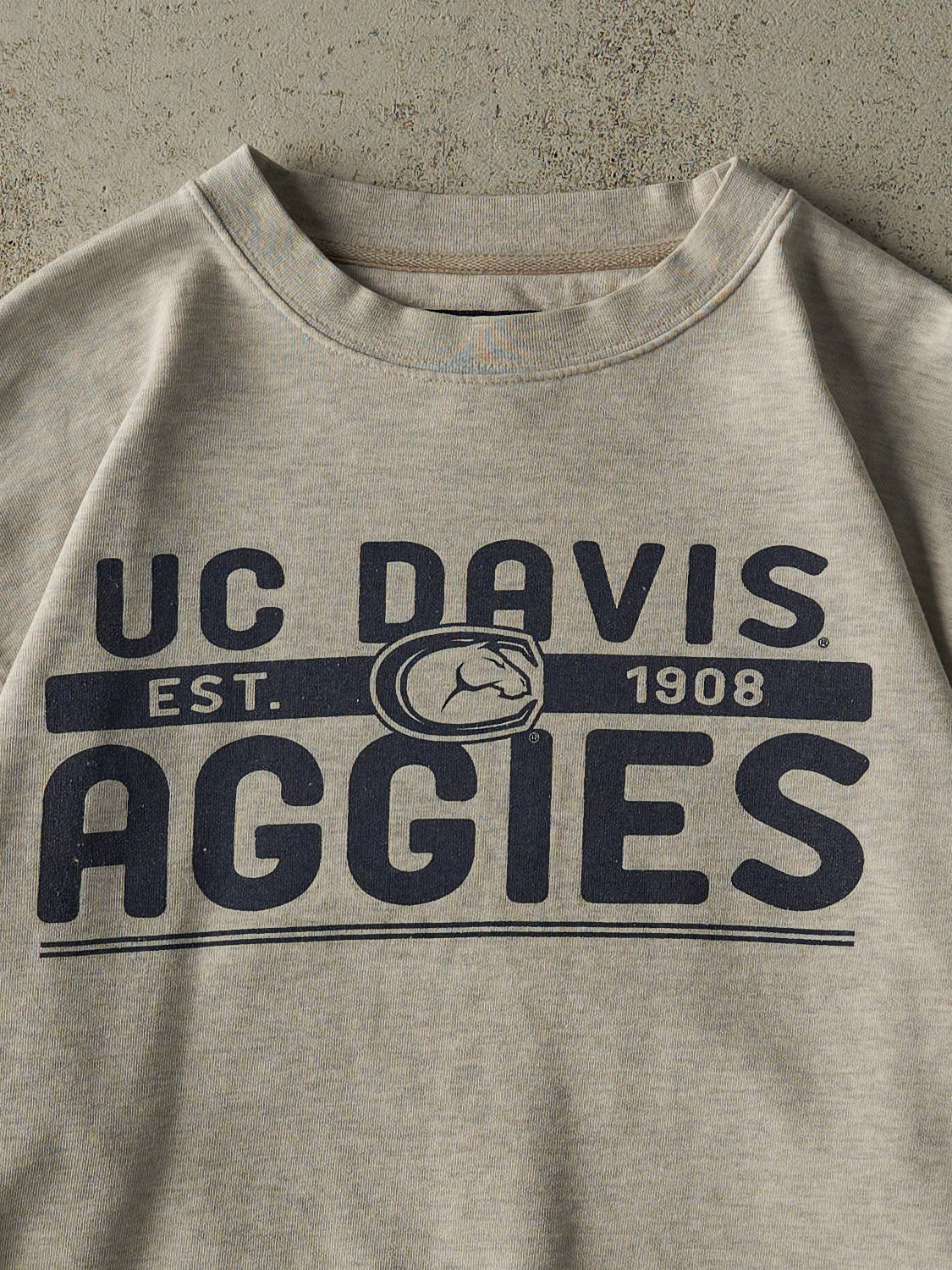 Vintage 90s Heather Grey University of California Davis Aggies Crewneck (L/XL)